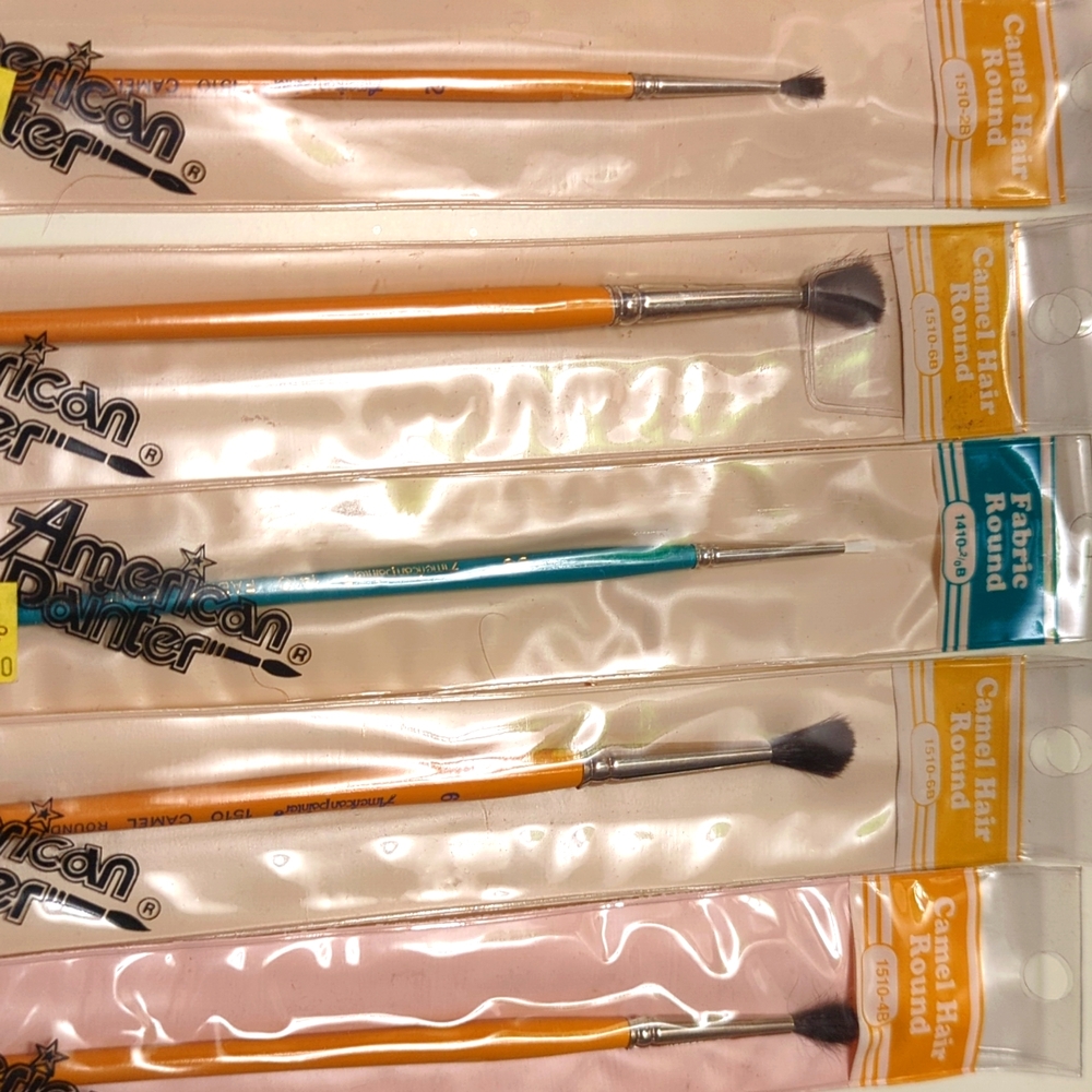 Paint brushes (5)